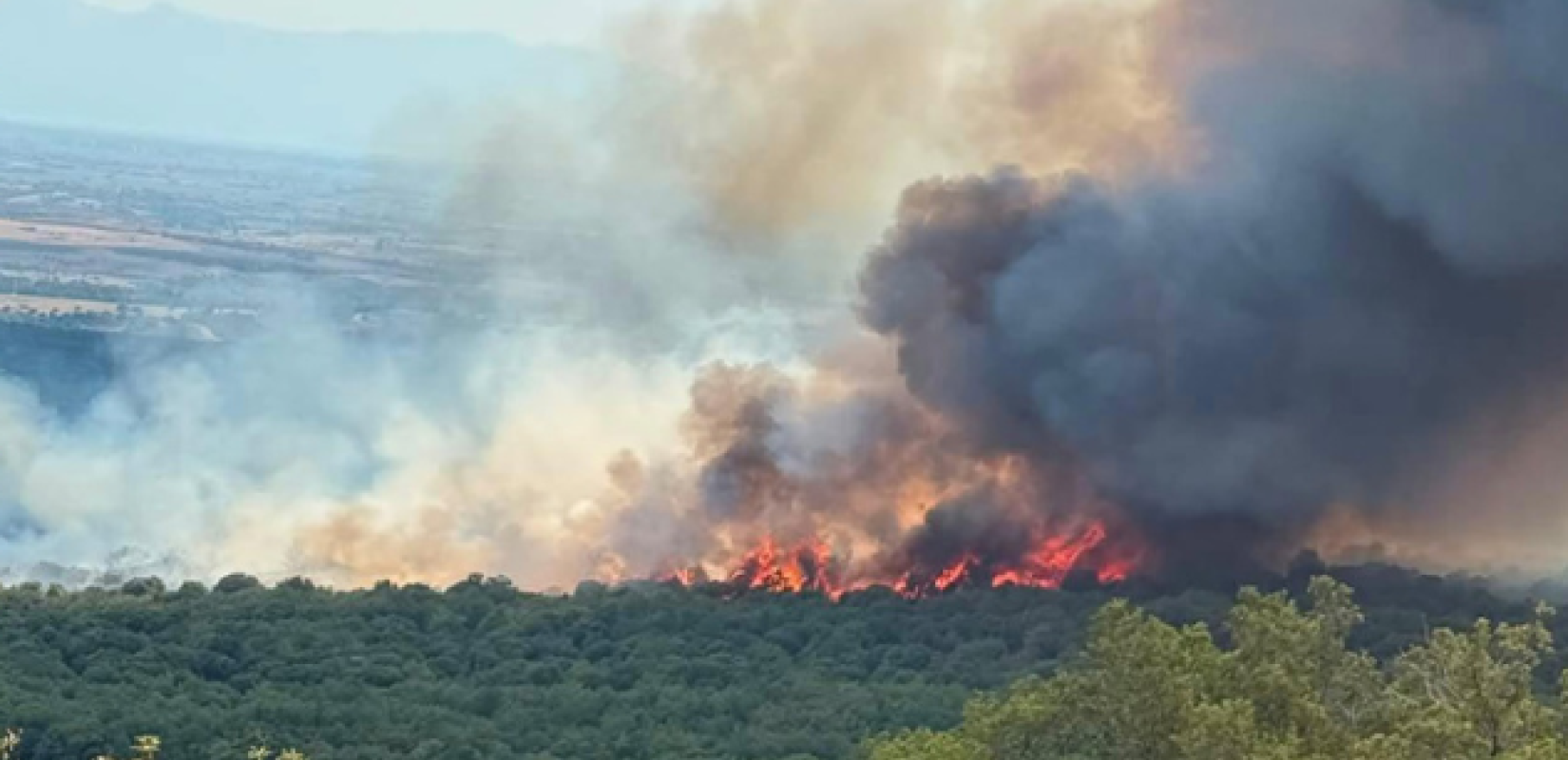 Ξάνθη: Φωτιά σε χαμηλή βλάστηση στο Πετροχώρι - Σηκώθηκαν επτά αεροσκάφη και δύο ελικόπτερα (βίντεο)