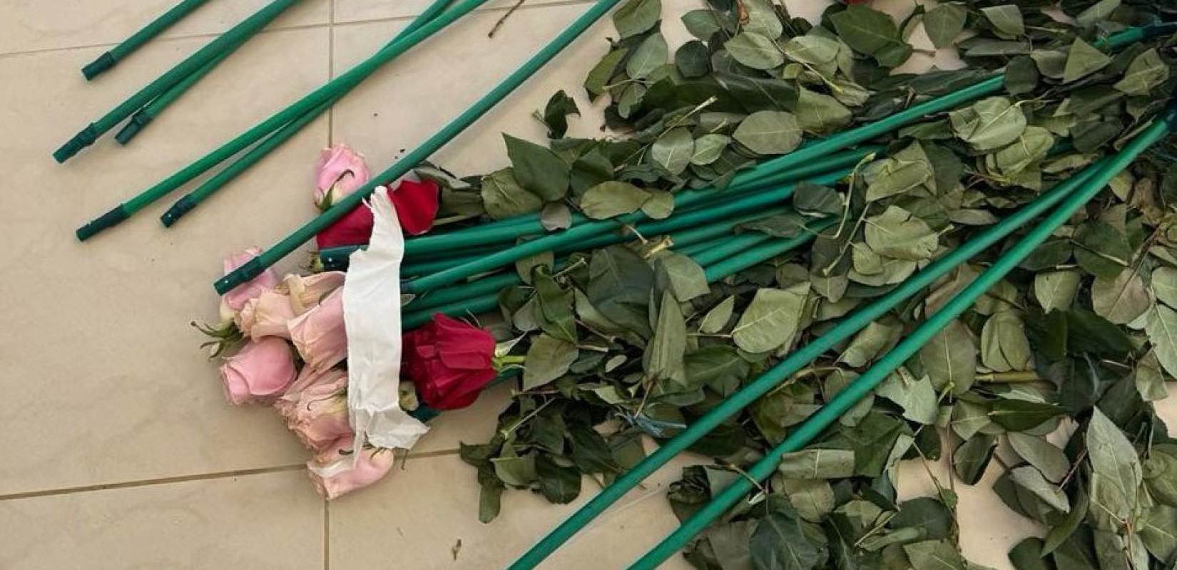 Η ΑΑΔΕ «ξεσκέπασε» κύκλωμα εμπορίου ναρκωτικών που μετέφερε κοκαΐνη από την Κολομβία μέσα σε... τριαντάφυλλα
