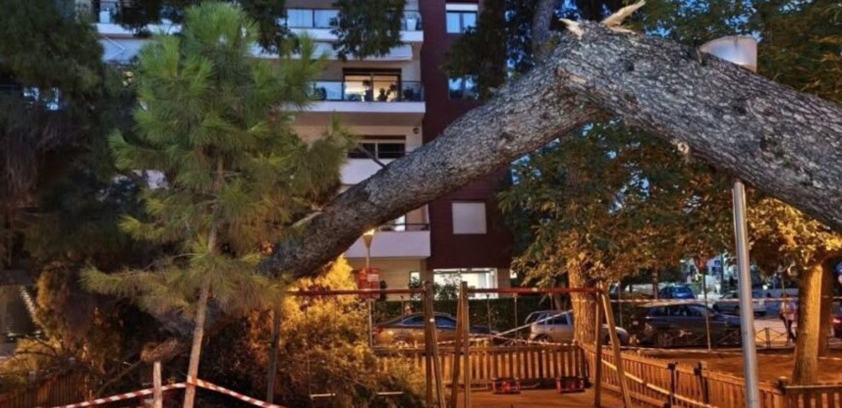 Πότε και γιατί μπορούν να κόψουν τα δέντρα οι Δήμοι