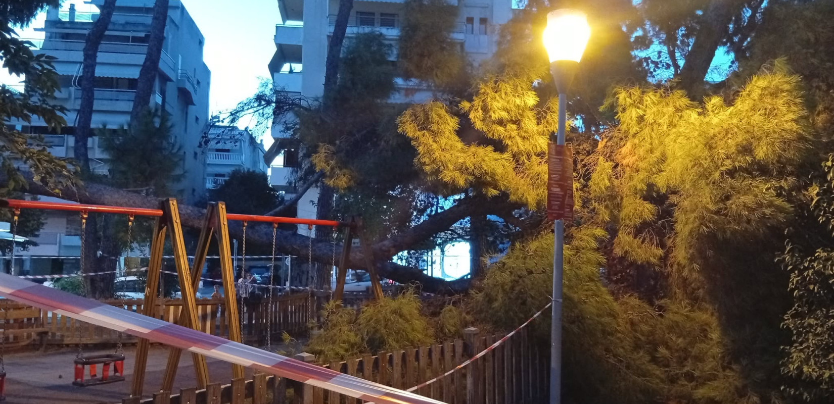 Τραυματισμός μητέρας και μωρού από την πτώση δέντρου στην Καλαμαριά: «Παίζαμε και το δέντρο έπεσε»