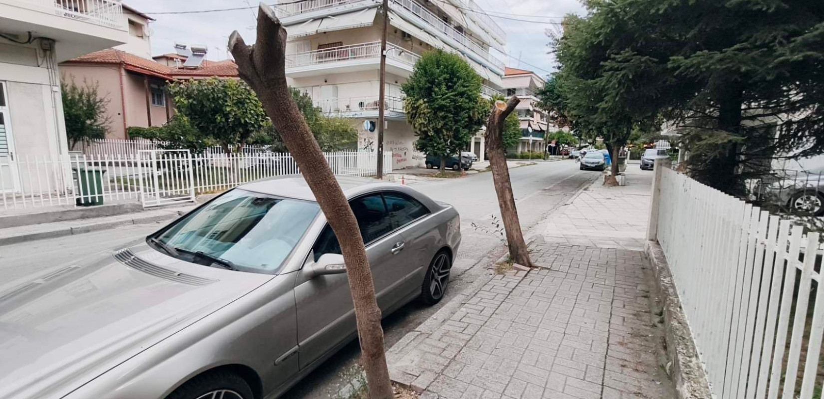 Δήμος Κατερίνης: Αυθαίρετο κλάδεμα δέντρων - Καταγγελία του περιστατικού στην εισαγγελία