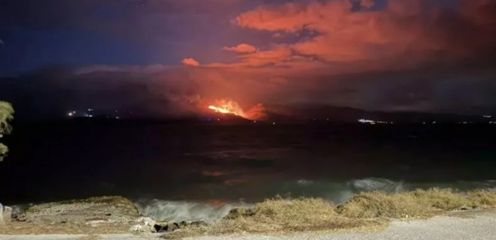 Λέσβος: Οριοθετήθηκε η φωτιά στην Καλλονή - Ισχυρές δυνάμεις της Πυροσβεστικής στο σημείο