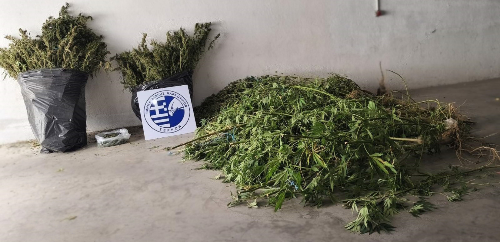 Σέρρες: Συνελήφθη για καλλιέργεια κάνναβης
