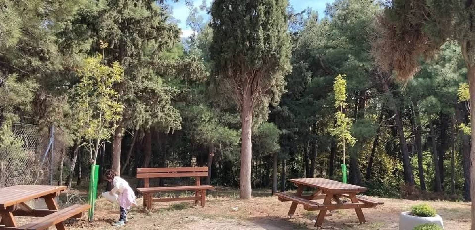 Θεσσαλονίκη: Η επιμονή μιας κατοίκου και ένα μήνυμα στο Στ. Αγγελούδη έδωσε ξανά ζωή στο πάρκο Κρυονερίου
