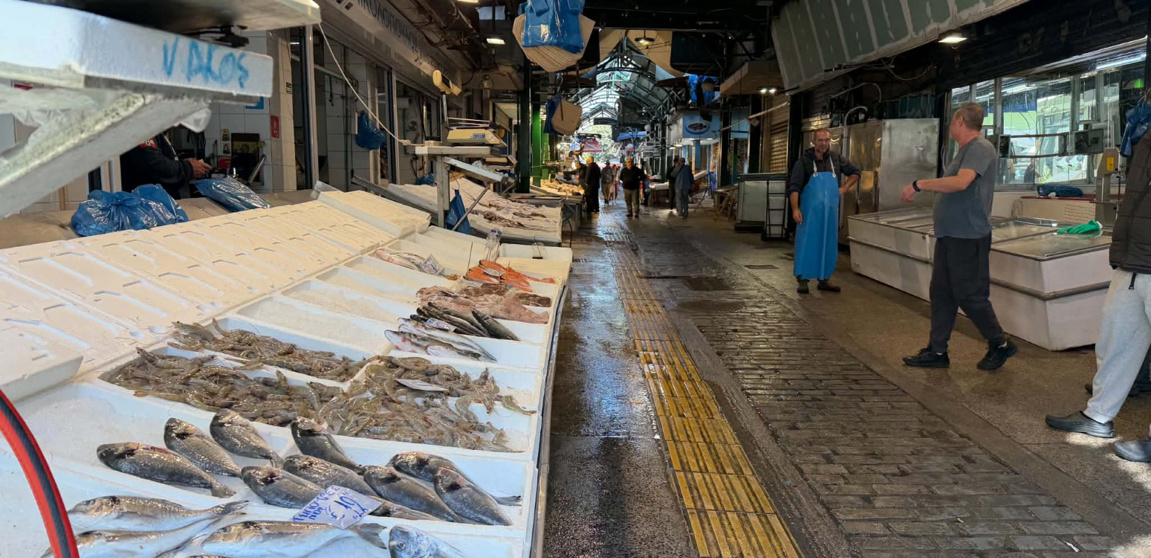 Θεσσαλονίκη: «Στέρεψαν» από φρέσκα ψάρια Καπάνι και λαϊκές αγορές -«Περιμέναμε τον Οκτώβρη για να δουλέψουμε»