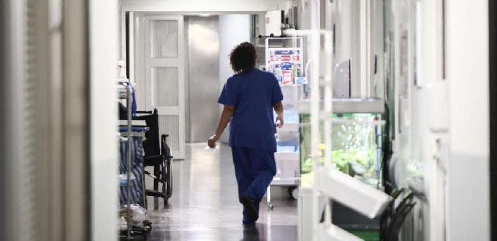 Το πρώτο κρούσμα του ιού Σαμόντα καταγράφηκε στη Γαλλία - Τι είναι και πώς μεταδίδεται