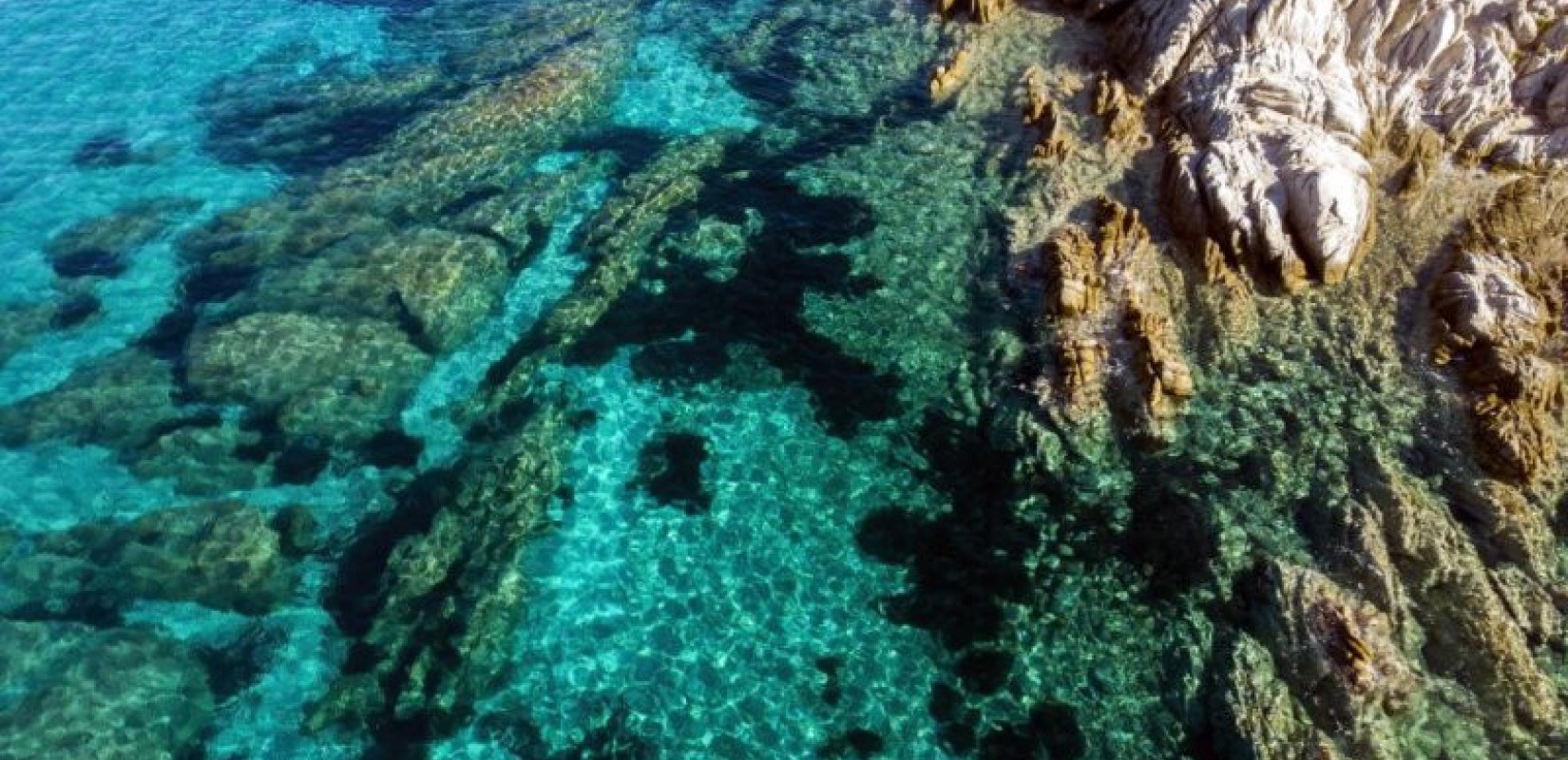 Στο ΣτΕ το Προεδρικό Διάταγμα για το Εθνικό Θαλάσσιο Πάρκο στις Νότιες Κυκλάδες: Τι αλλάζει από τη Μήλο έως την Αμοργό και τη Σαντορίνη