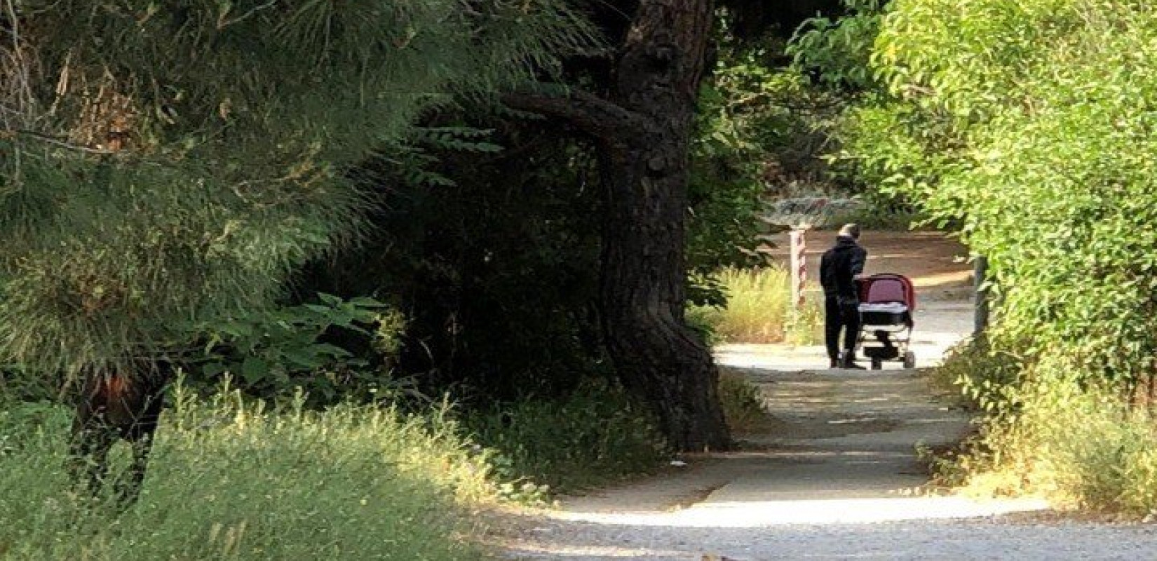 Βρέθηκε βλήμα του Β' Παγκοσμίου Πολέμου στην Πυλαία