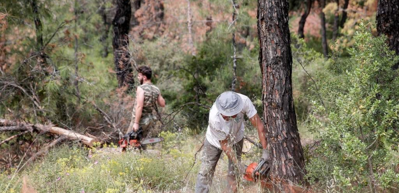 Ξεμένουμε... από υλοτόμους - Οι νέοι δεν μπαίνουν στο επάγγελμα