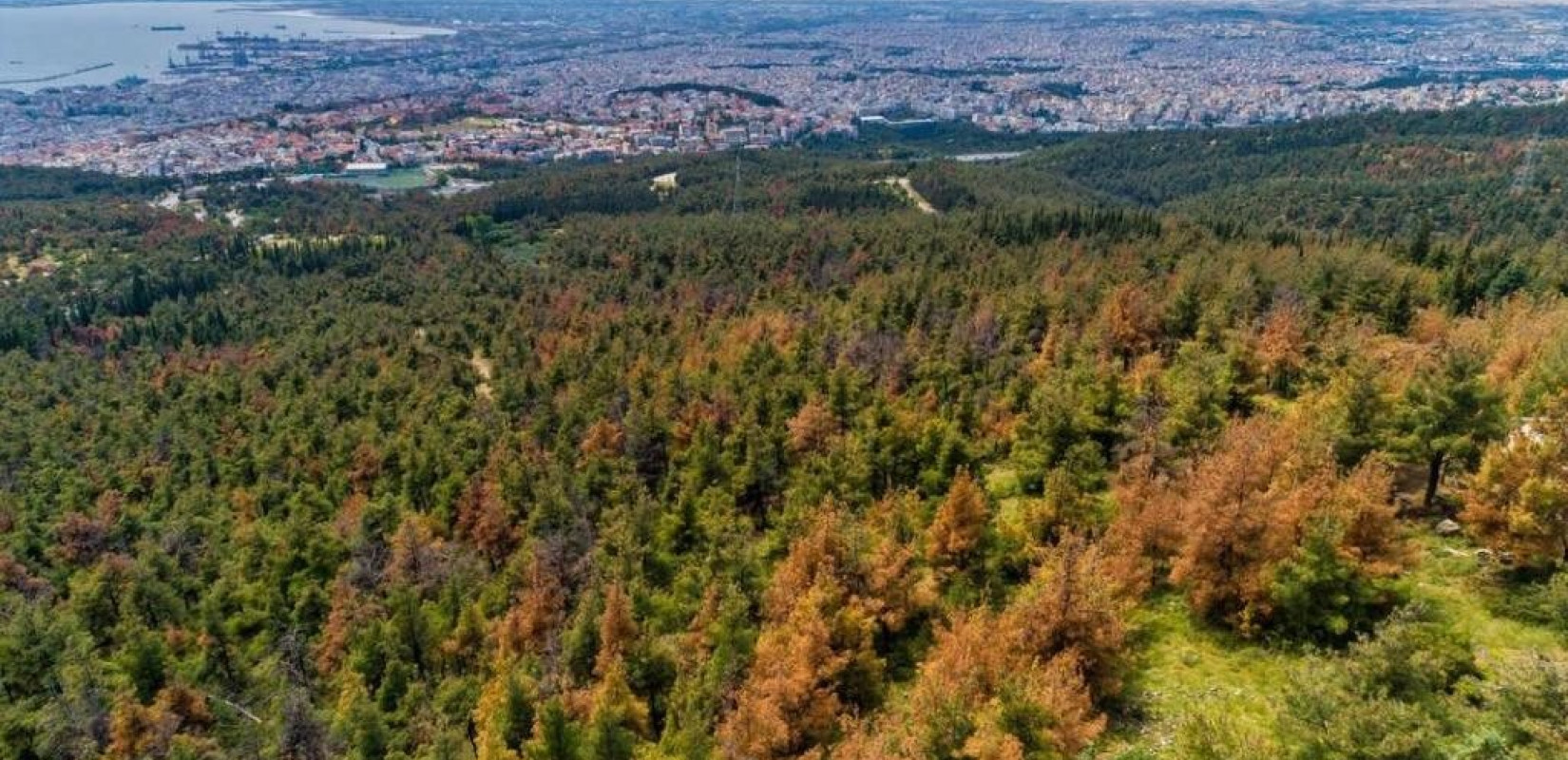 Πόρτα πόρτα ενημέρωση για την αντιπυρική περίοδο σε όσους κατοικούν πλησίον του Σέιχ Σου