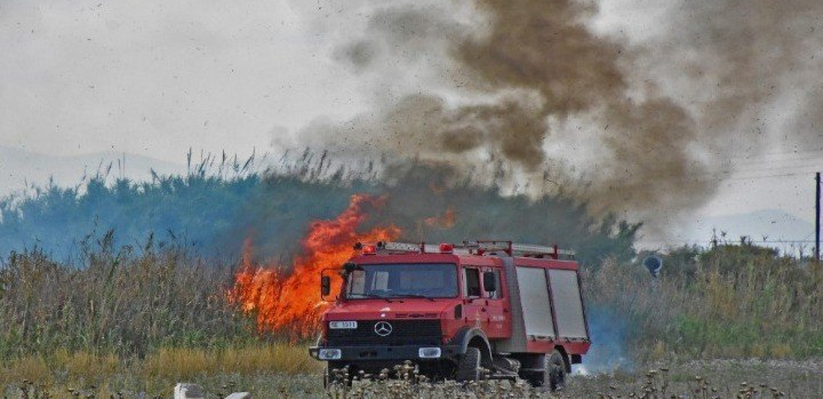 Σε εξέλιξη πυρκαγιά σε δασική έκταση στον Δήμο Σπάτων-Αρτέμιδας	