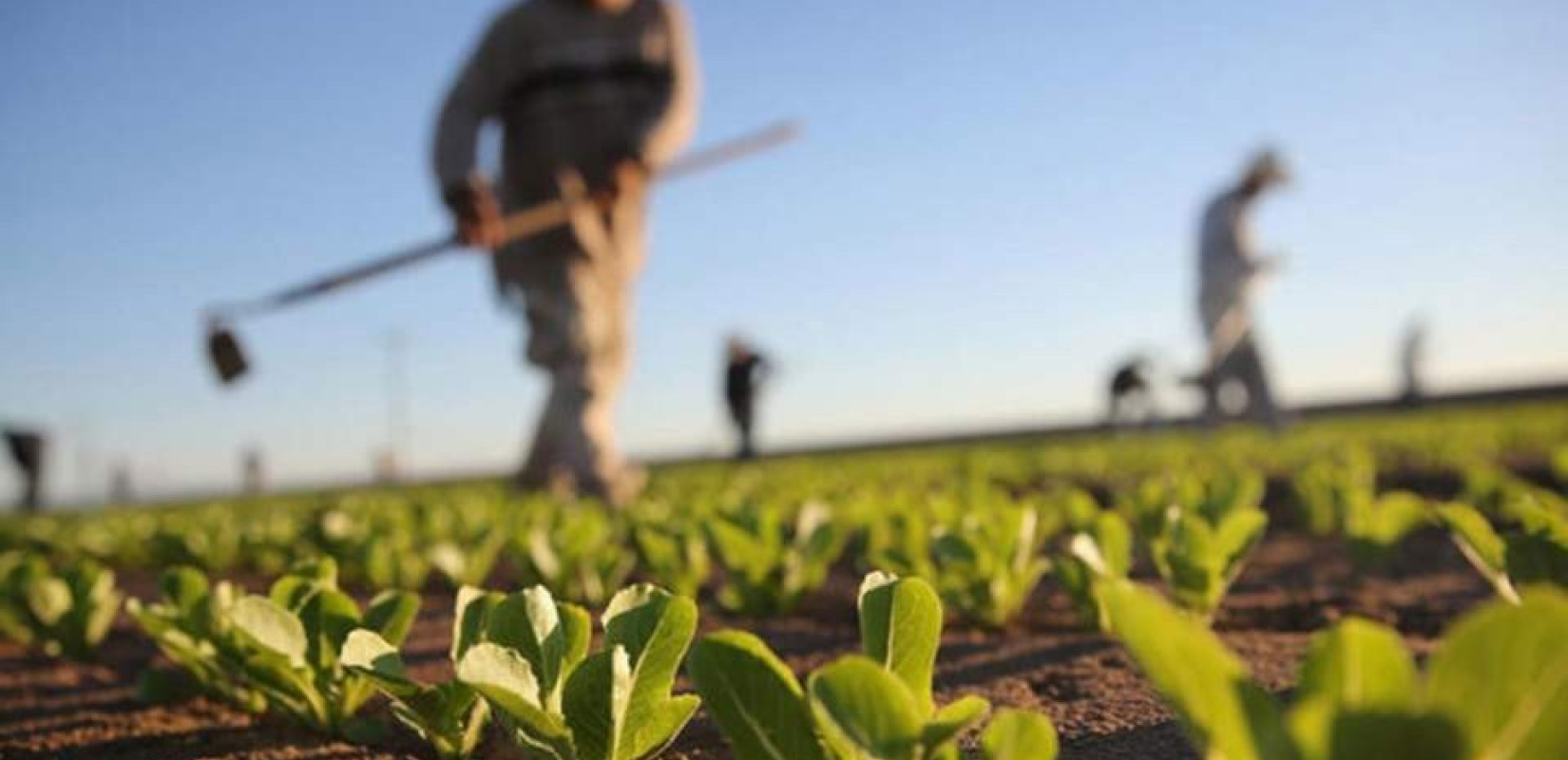 Θεσσαλονίκη: Έτοιμος ο πρώτος Ευρωπαϊκός κόμβος ψηφιακής καινοτομίας για την αγροδιατροφή