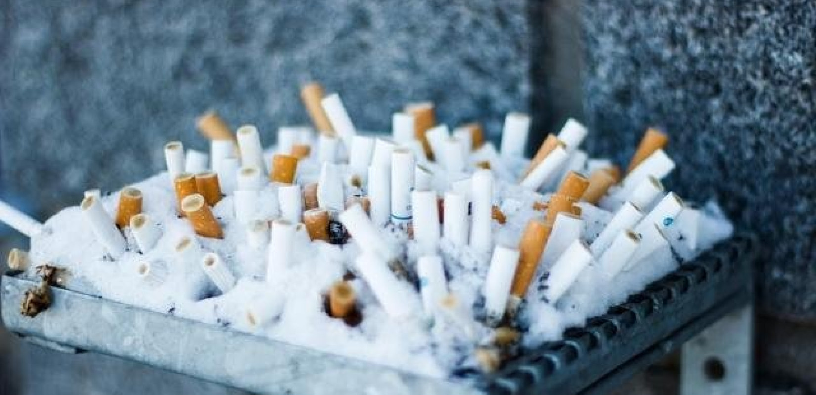 Θεσσαλονίκη: Πάνω από ένα εκατομμύριο αποτσίγαρα συνέλεξε και ανακύκλωσε ο μη κερδοσκοπικός οργανισμός Cigaret Cycle