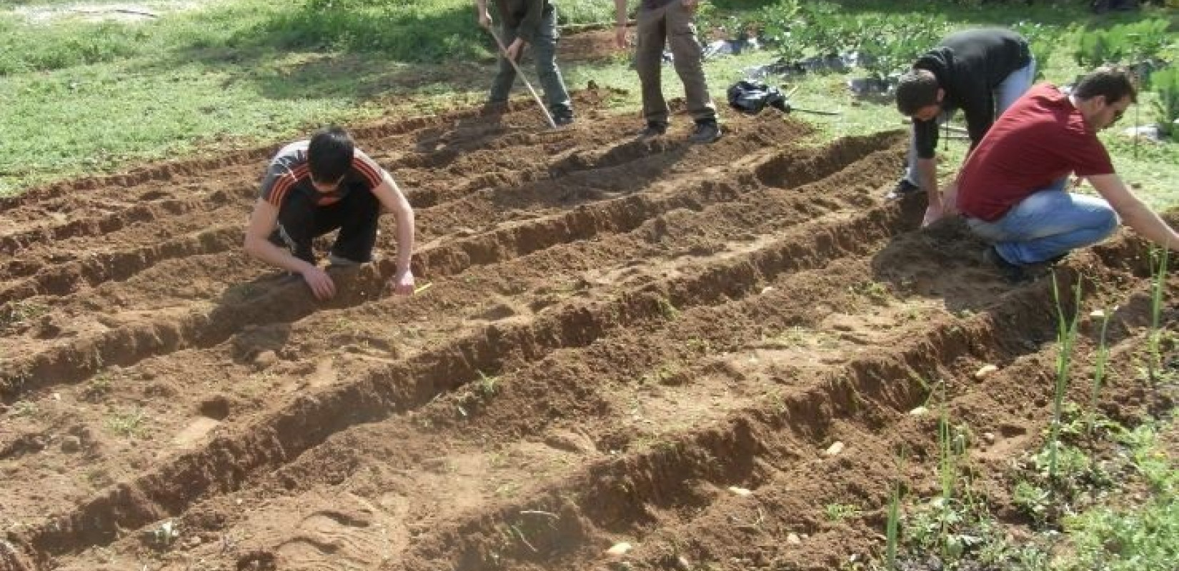 ΕΛΓΑ: Έρχεται πρόγραμμα κατάρτισης για 12.619 νέους αγρότες
