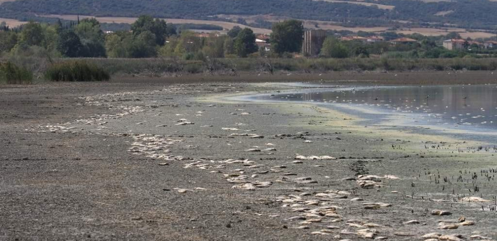 Φωτογραφία αρχείου από τη λίμνη Κορώνεια το 2019