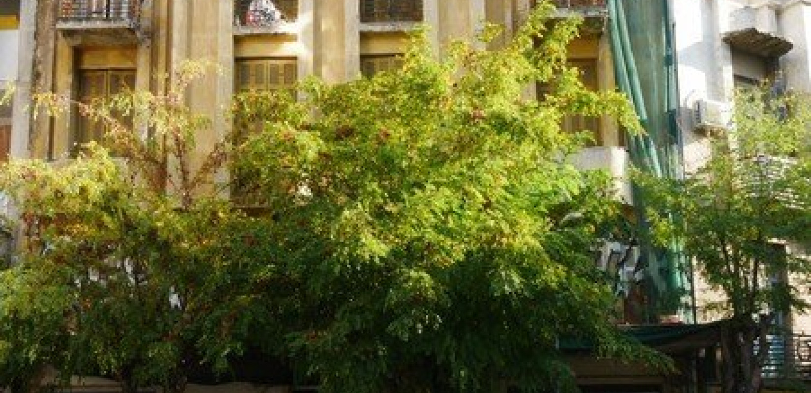 Θεσσαλονίκη: Επέμβαση της αστυνομίας και επεισόδια στην ανακατάληψη της Terra Incognita (βίντεο)