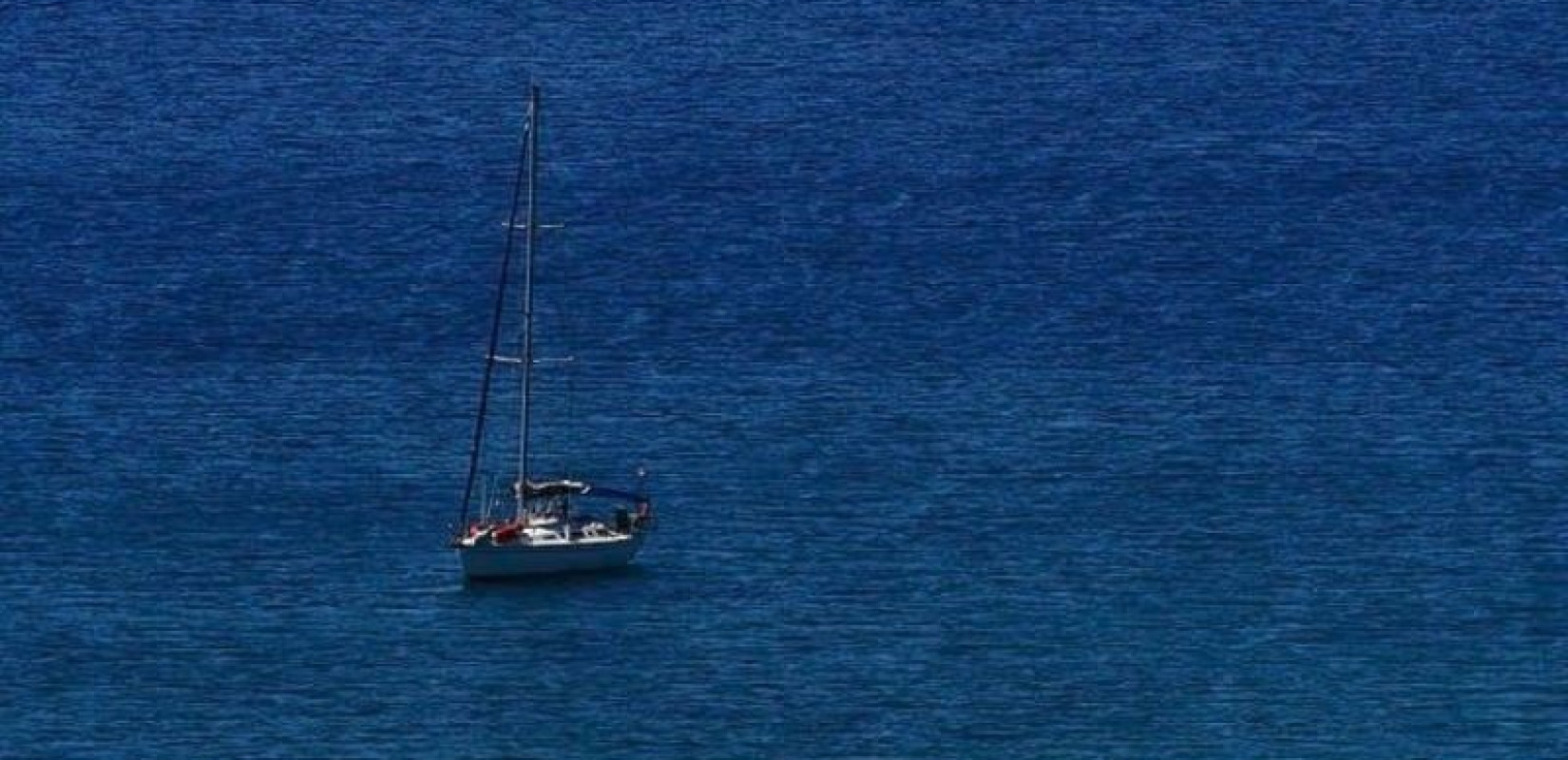 Ισπανία: Επίθεση από όρκες δέχθηκε ιστιοφόρο