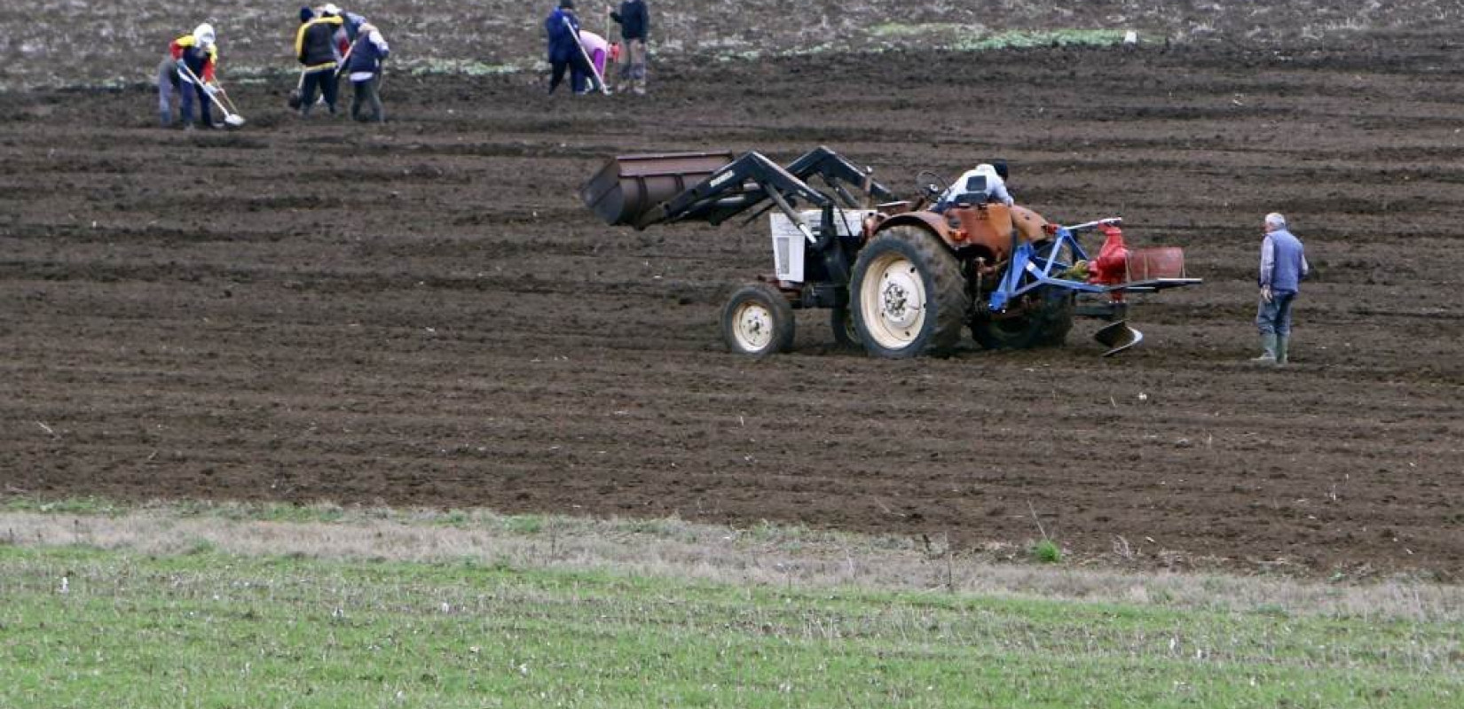 ΟΠΕΚΕΠΕ: Σε ισχύ από σήμερα η ψηφιακή εφαρμογή για αγροτεμάχια χωρίς ΚΑΕΚ