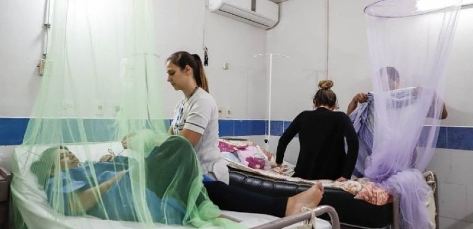 Συναγερμός του ΕΟΔΥ για τον Δάγκειο πυρετό - Τα συμπτώματα, τι πρέπει να κάνετε