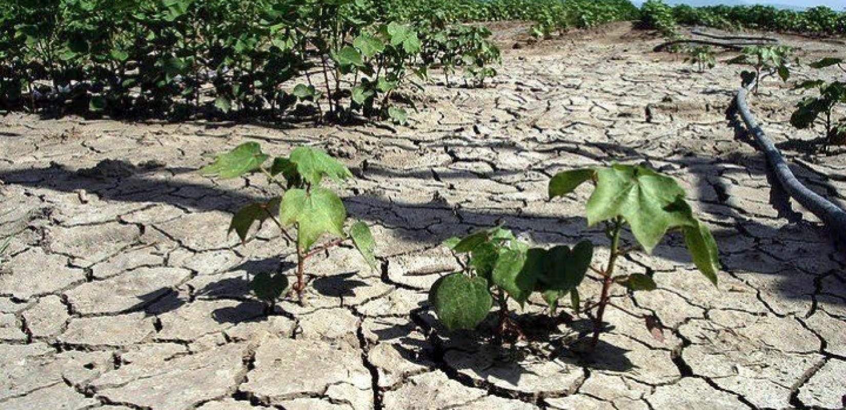 Στο κατώφλι της λειψυδρίας και η Ελλάδα