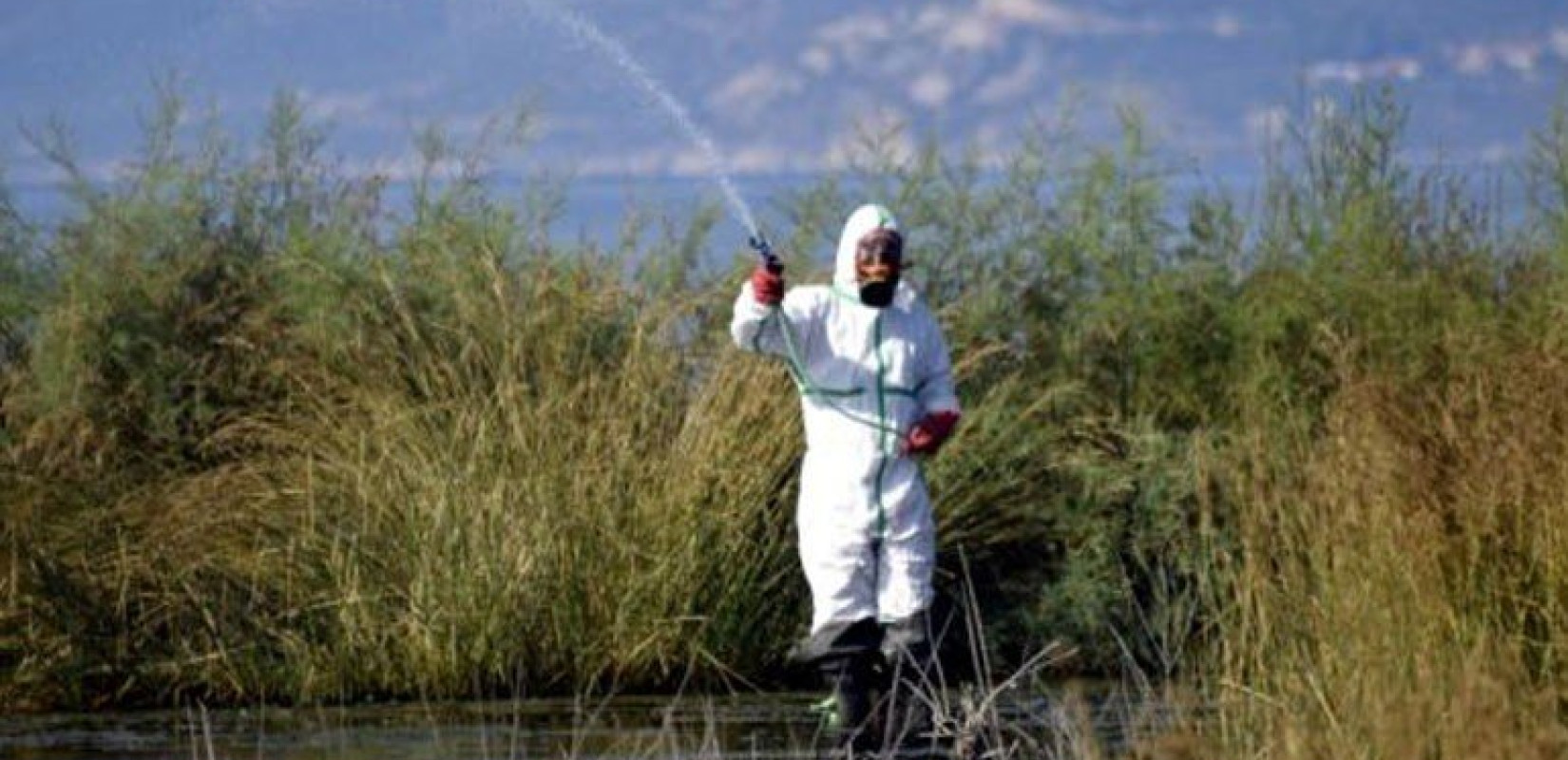 Κεντρική Μακεδονία: Ξεκίνησε η μάχη με τα κουνούπια - Τι δείχνουν τα πρώτα στοιχεία