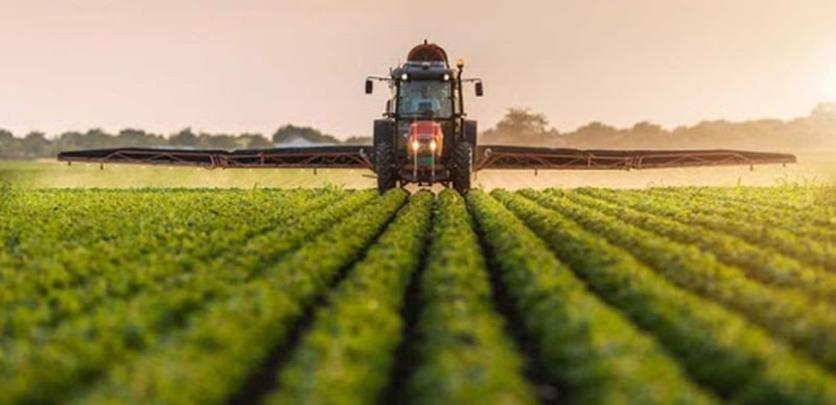 Κραυγή αγωνίας από μελισσοκόμους, αλιείς και νέους αγρότες στη Διακομματική Επιτροπή