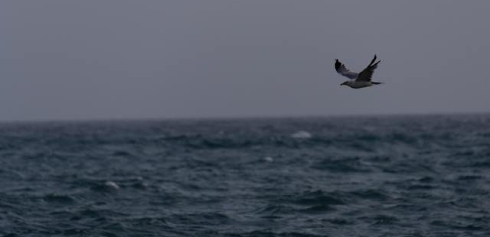 Λιβυκό στρατιωτικό σκάφος άνοιξε πυρ κατά ιταλικού αλιευτικού