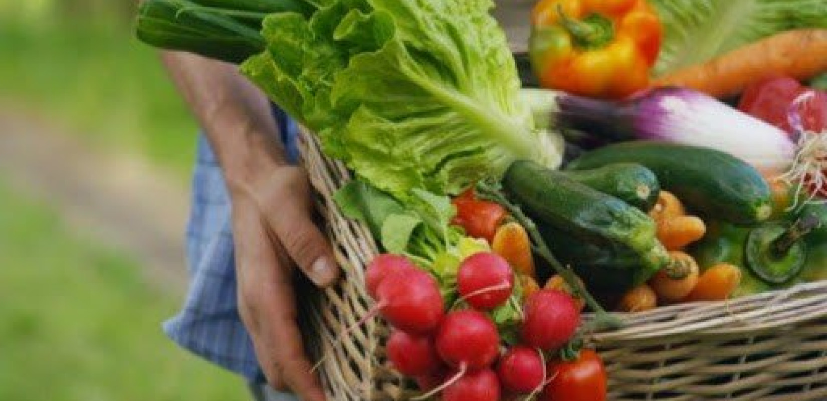 Υγεία: Η ανθυγιεινή διατροφή στα πρώτα χρόνια ζωής προκαλεί μακροχρόνιες αλλαγές στον εγκέφαλο