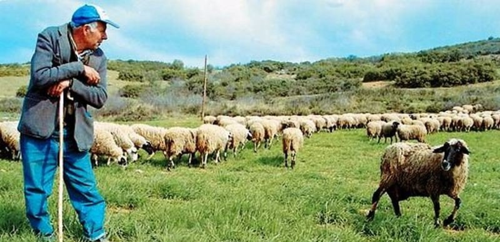 Διορθώθηκε το λάθος στις ενισχύσεις των κτηνοτρόφων με το Μέτρο 22