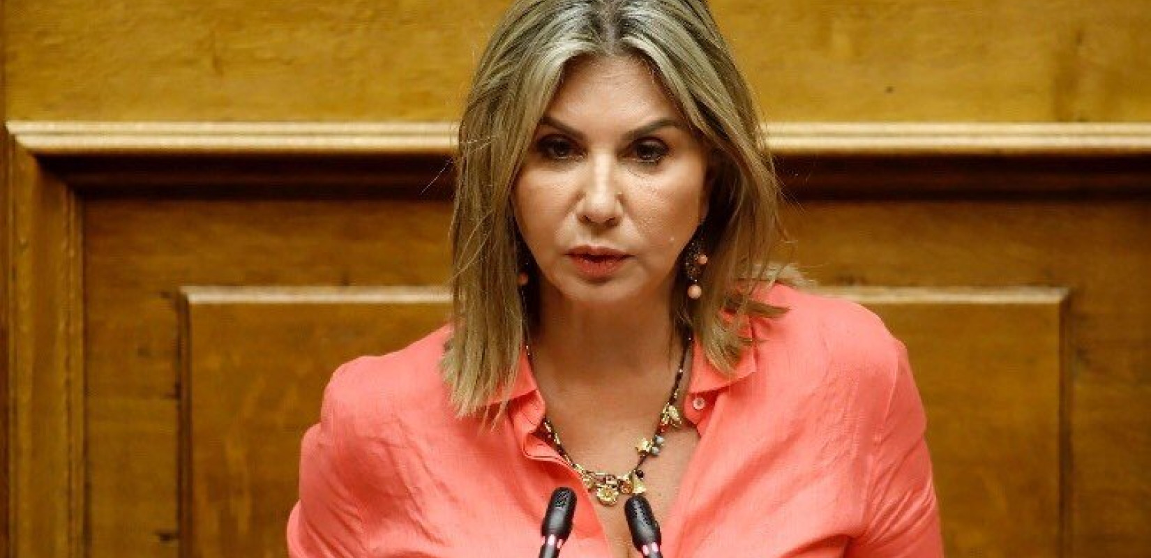 Ζ. Μακρή: Ανήμερα θα εορτασθεί η επέτειος της 17ης Νοέμβρη