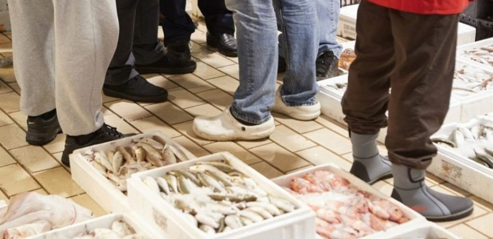 Μηχανιώνα: Κατάσχεση μπακαλιάρων και τόνου στην ιχθυόσκαλα