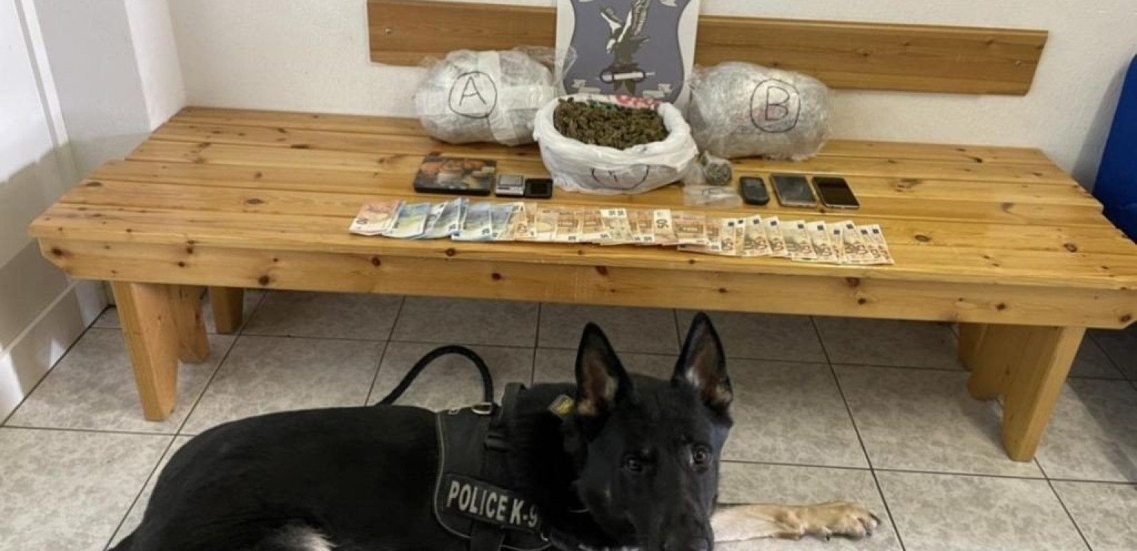 Ο Ακύλας "μύρισε" τρία κιλά κάνναβη