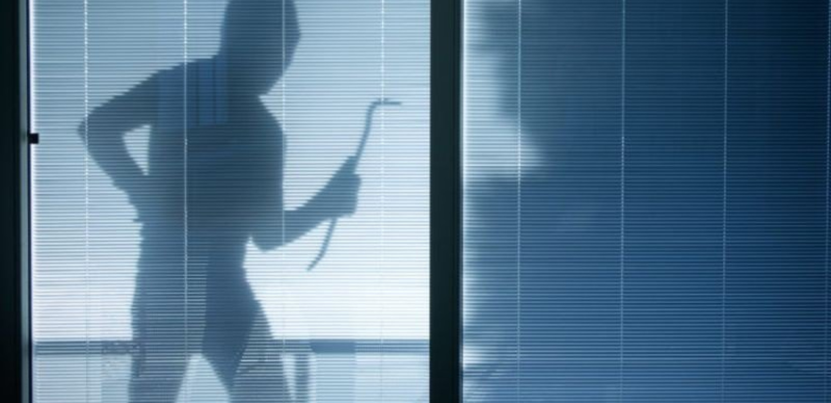  Η ανακοίνωση της ΕΛΑΣ για τον πυροβολισμό του επίδοξου διαρρήκτη στο Ν. Ρύσιο