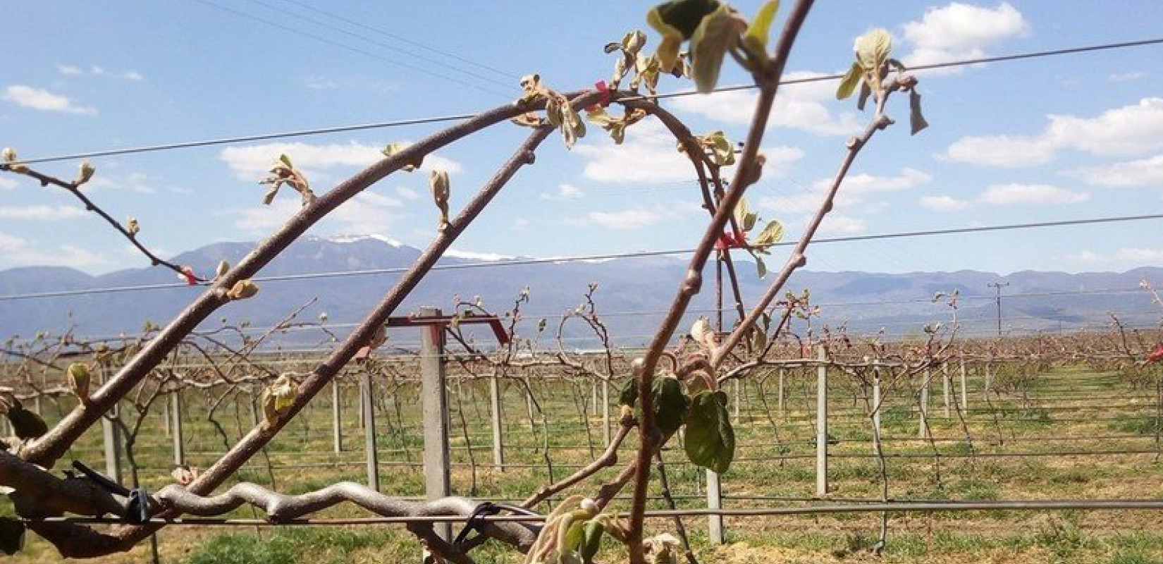 Μέτρα για τους αγρότες, τις επιχειρήσεις και τους εργαζόμενους ζητούν από τον πρωθυπουργό Τζιτζικώστας, Κασαπίδης, Αγοραστός