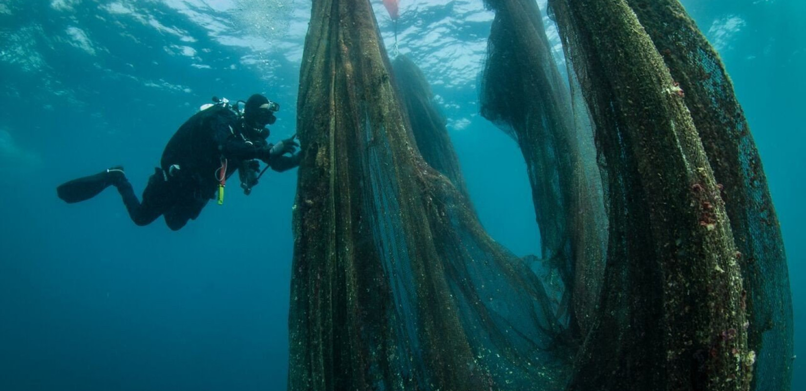 Εντυπωσιακές φωτογραφίες από την επιχείρηση «Λιγότερα δίχτυα περισσότεροι ιππόκαμποι»