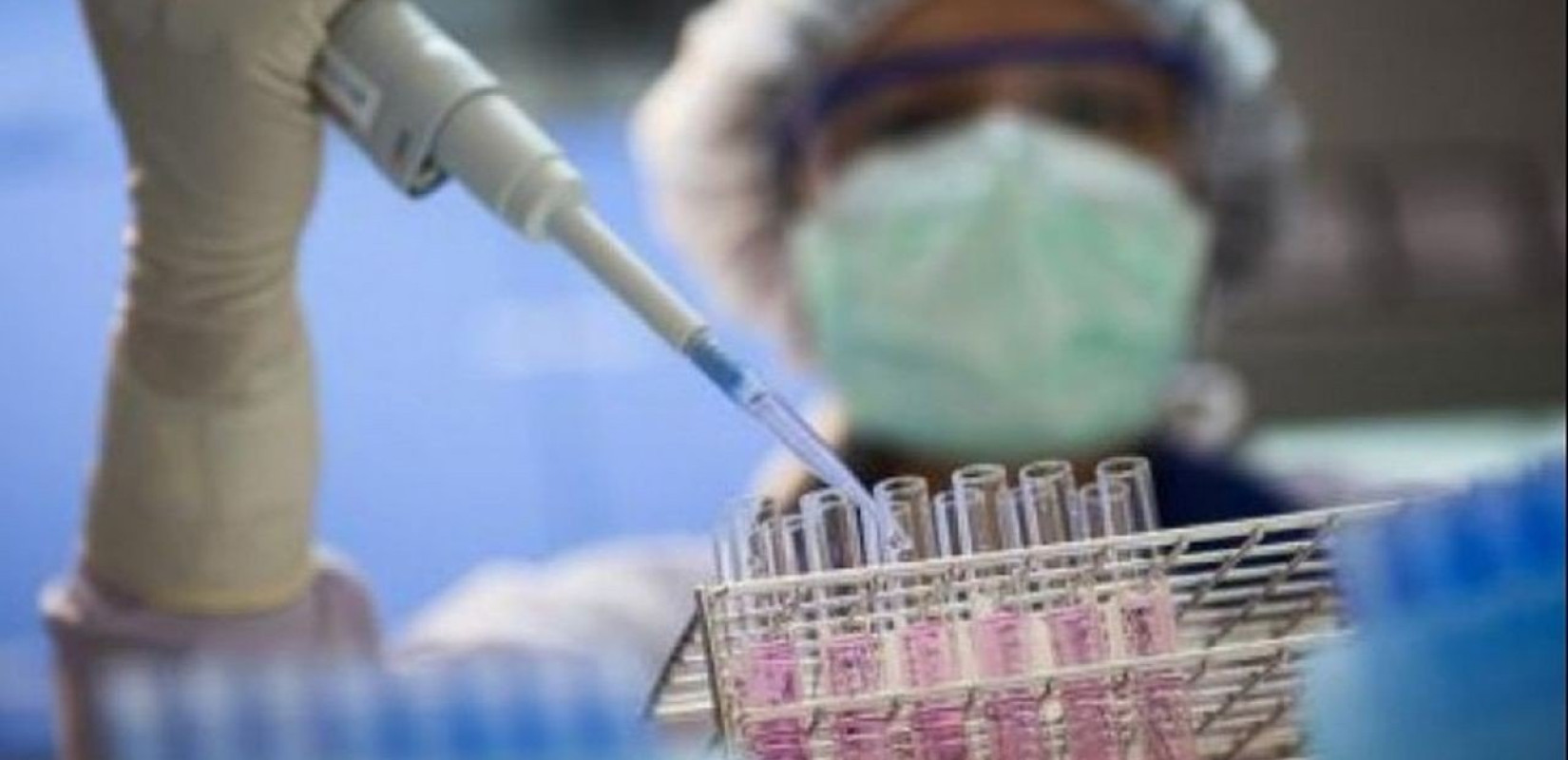 Φωτογραφία αρχείου