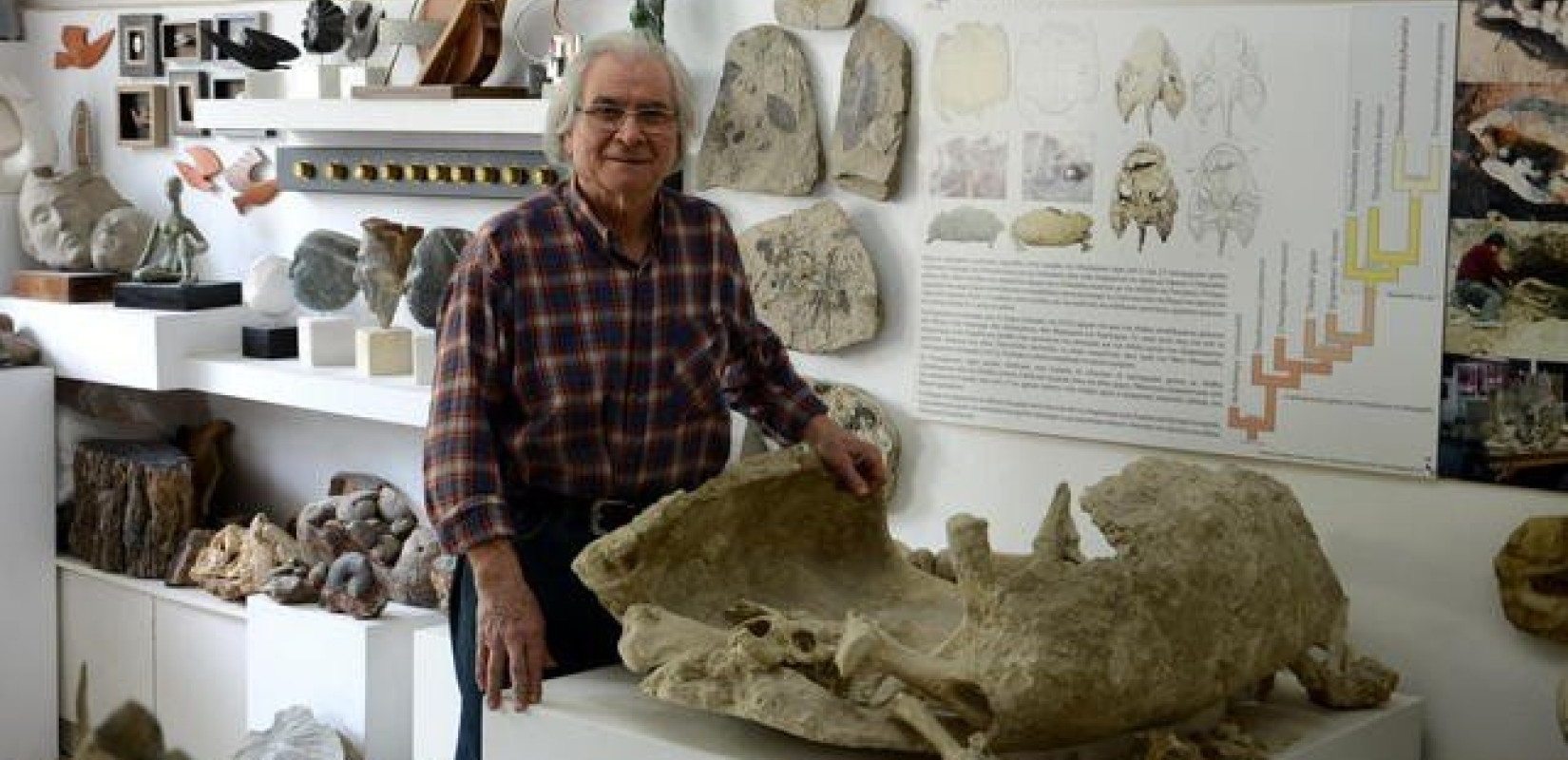 «Η Ελλάδα πρέπει να αναδείξει τον παλαιοντολογικό της πλούτο»