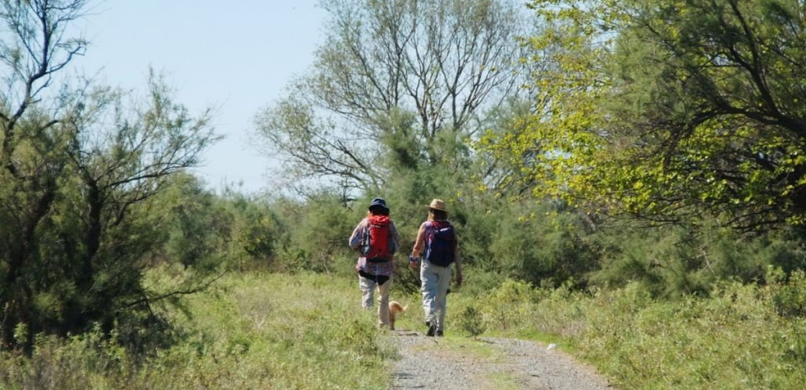 Στο Ταμείο Ανάκαμψης το εθνικό δίκτυο μονοπατιών και πεζοπορίας - Τα 107 μονοπάτια