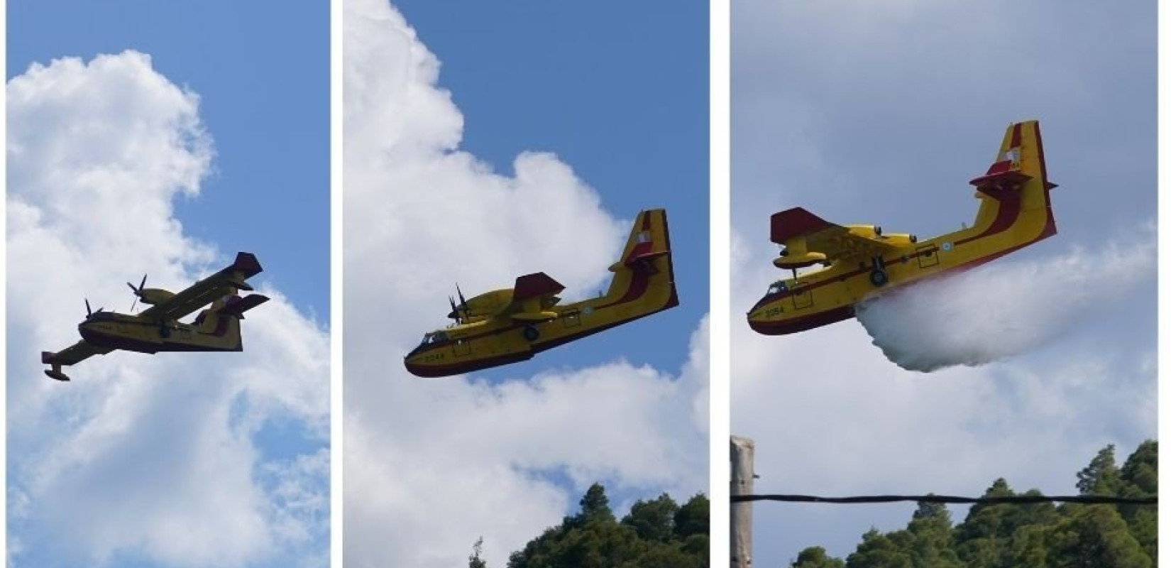 Άσκηση Δια Πυρος στη Σιθωνία- Άριστο επίπεδο ετοιμότητας (φωτ. & βίντεο)