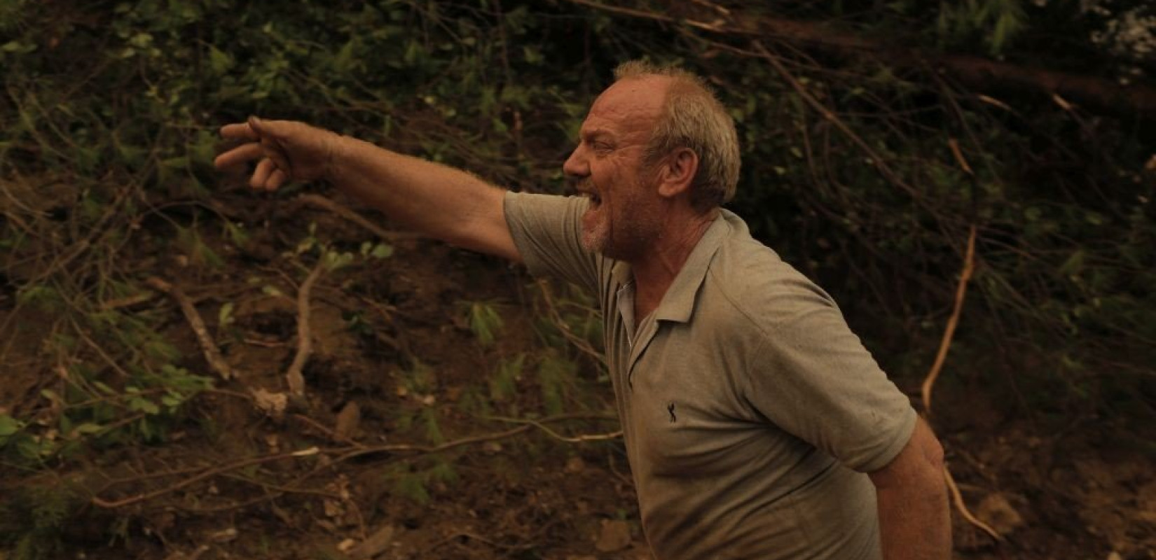 Αναδασώσεις και μέχρι 120.000 ευρώ στεγαστική συνδρομή στην ΠΝΠ για τους πυρόπληκτους