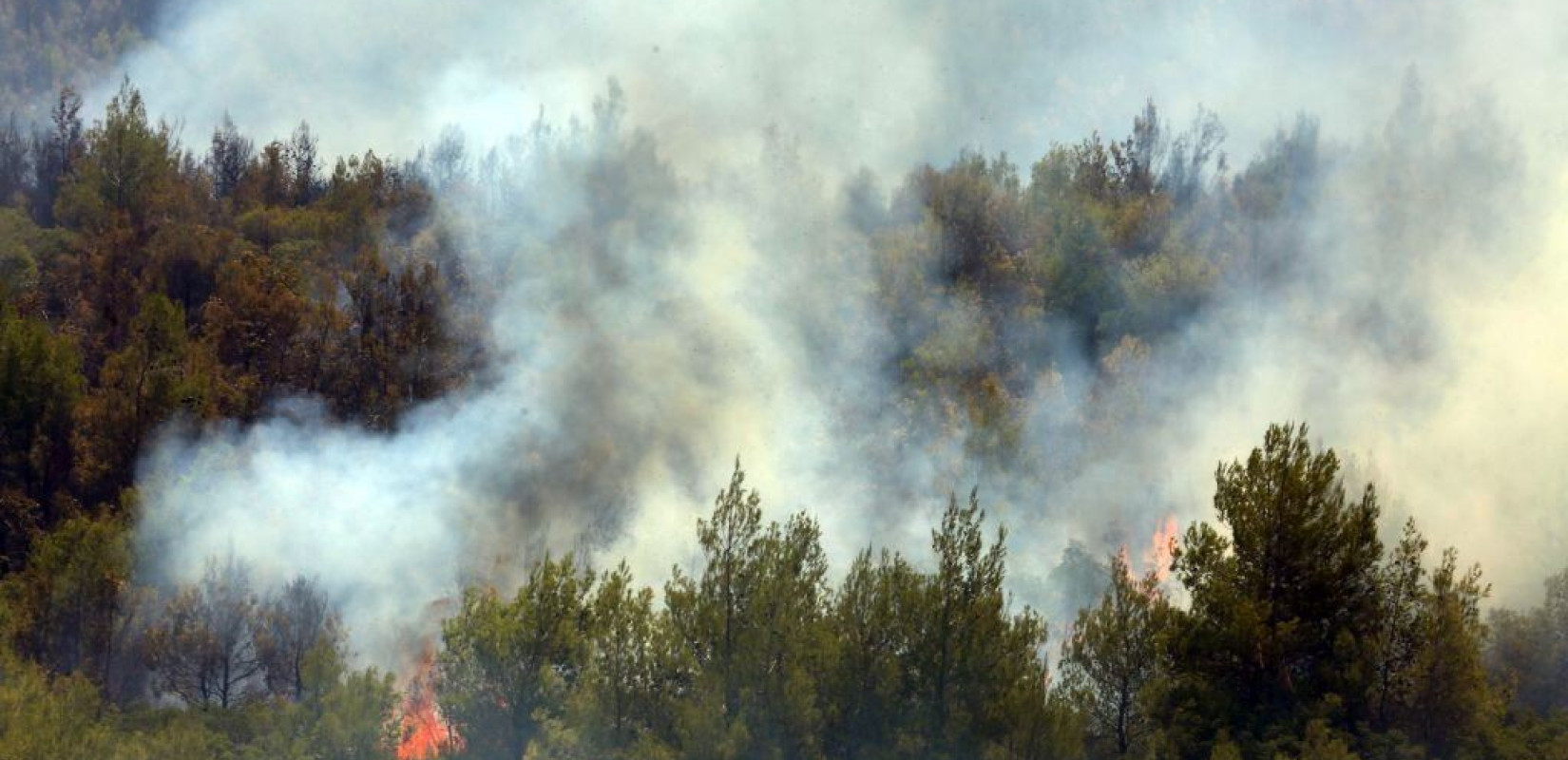 Νύχτα αγωνίας στα φλεγόμενα Βίλια - Δεν σταματούν οι αναζωπυρώσεις (βίντεο & φωτ.)