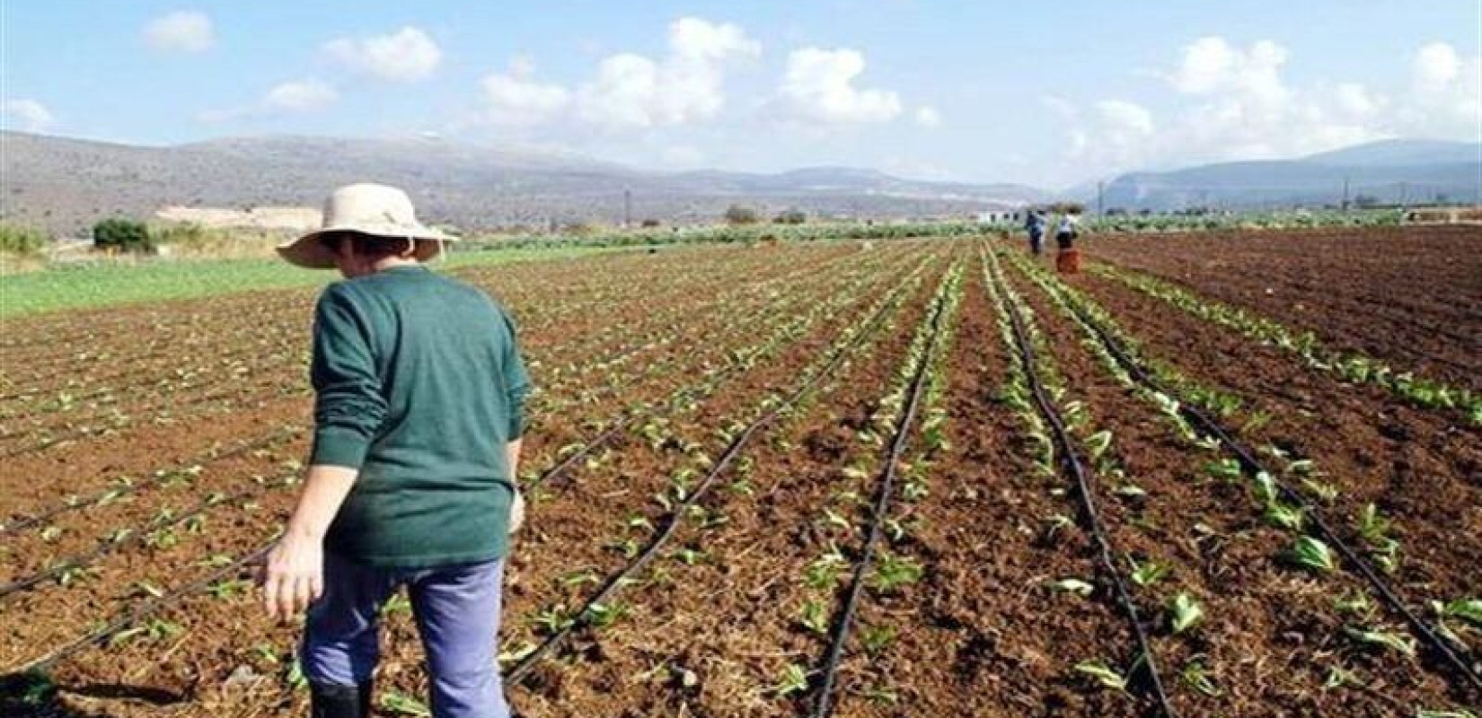Βόρεια Ελλάδα: Επενδύουμε σε γεωργία, δασοκομία, αλιεία