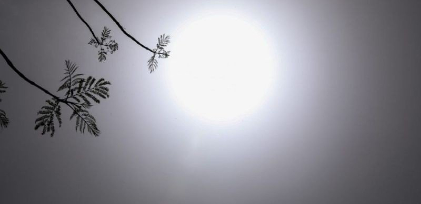 Παγκόσμιος Μετεωρολογικός Οργανισμός: Θερμοκρασίες υψηλότερες από το κανονικό από τον Μάρτιο μέχρι τον Μάιο, λόγω Ελ Νίνιο