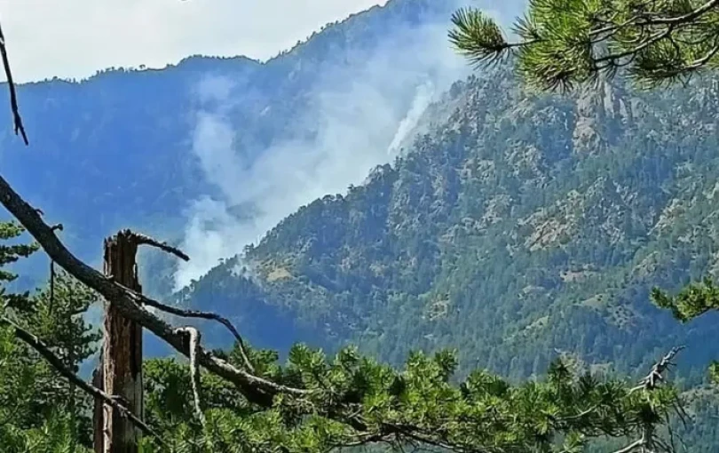 Γρεβενά: Χωρίς ενεργό μέτωπο η φωτιά στη Βάλια Κάλντα