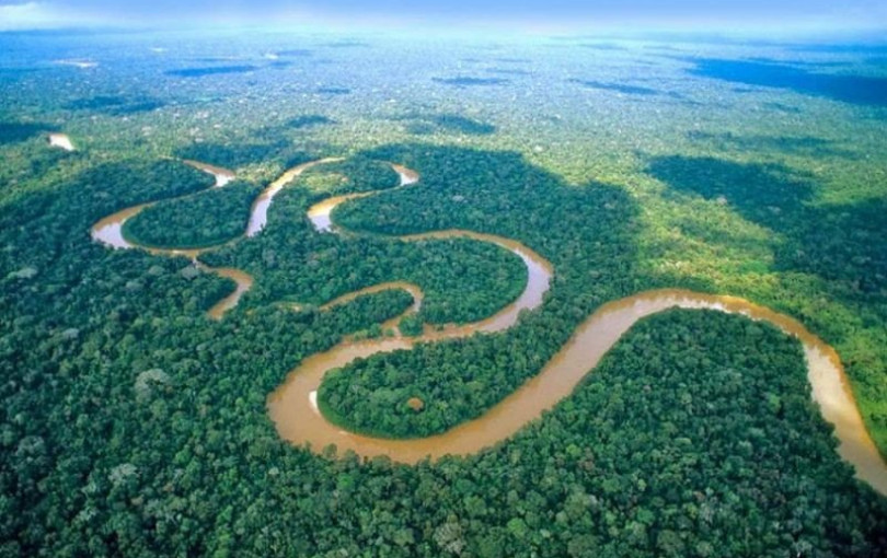 Τροπικά δάση: Η αποψίλωση πέφτει, αλλά η μάχη δεν έχει κριθεί
