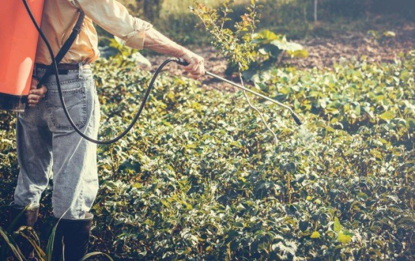 ΑΑΔΕ: Παράταση έως 31 Ιουλίου για τις αιτήσεις ενίσχυσης αγοράς λιπασμάτων