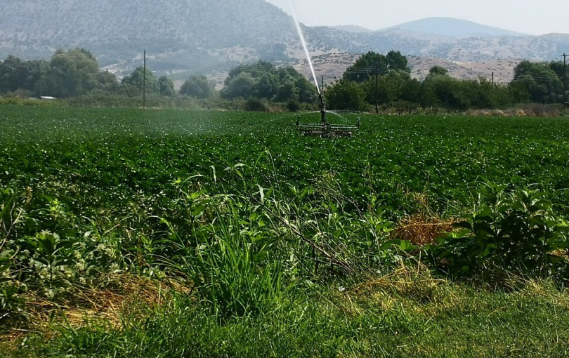 ΥΠΑΑΤ: Δυνατότητα εγγραφής στο Μητρώο για συνταξιούχους αναπηρίας που συνεχίζουν την αγροτική δραστηριότητα