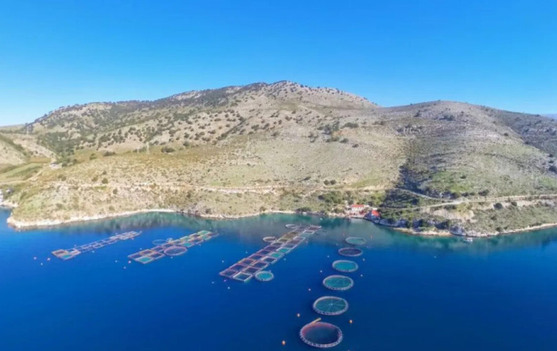 Καβάλα: Επιστημονική ημερίδα για την Υδατοκαλλιέργεια