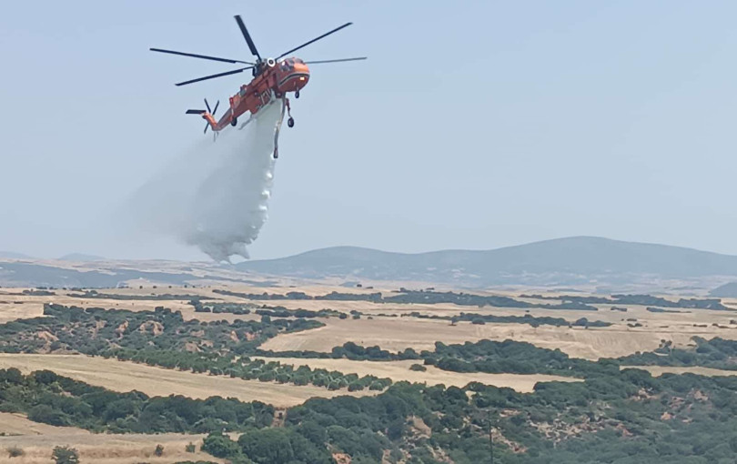 Ροδόπη: Οριοθετήθηκε η φωτιά στη Μελίταινα- Δεν απείλησε κατοικημένες περιοχές