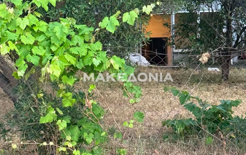Θεσσαλονίκη: Στον εισαγγελέα ο 30χρονος για τη δολοφονία του πατέρα του στο Τριάδι